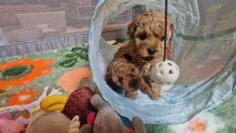 Leyla - w tunelu do zabawy, 5. tydzień życia